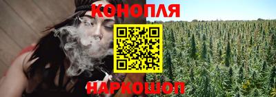шишки Будённовск