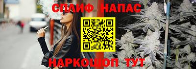 шишки Будённовск