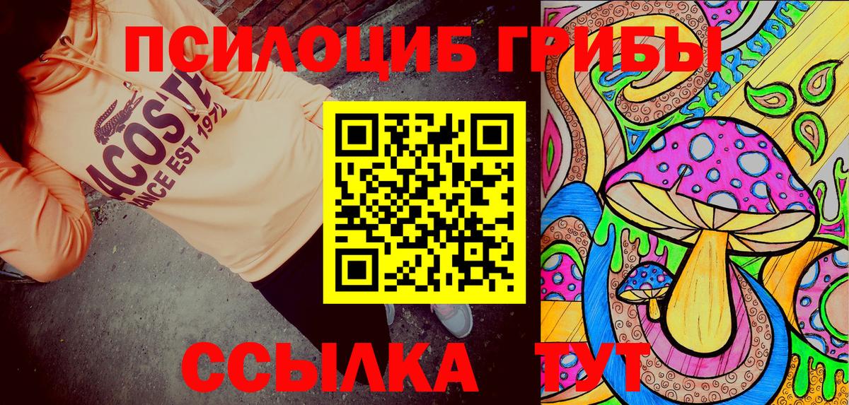 Новозыбков  Галлюциногенные грибы Psilocybine cubensis  Вход с VPN 