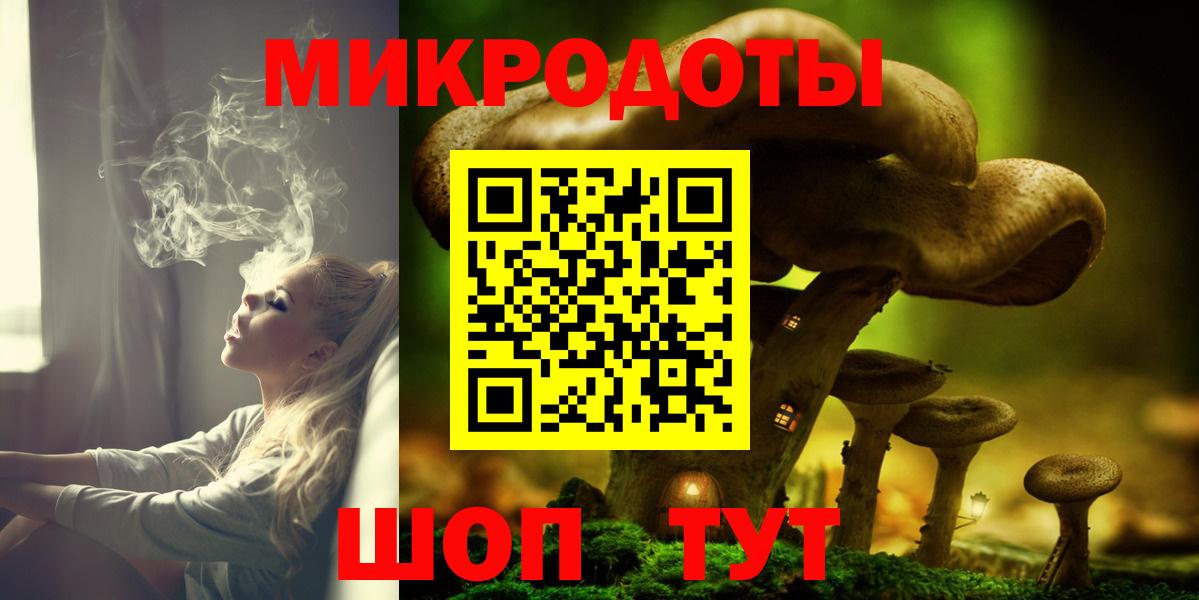 Галлюциногенные грибы Psilocybe Новозыбков