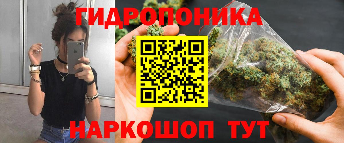МАРИХУАНА марихуана Новозыбков
