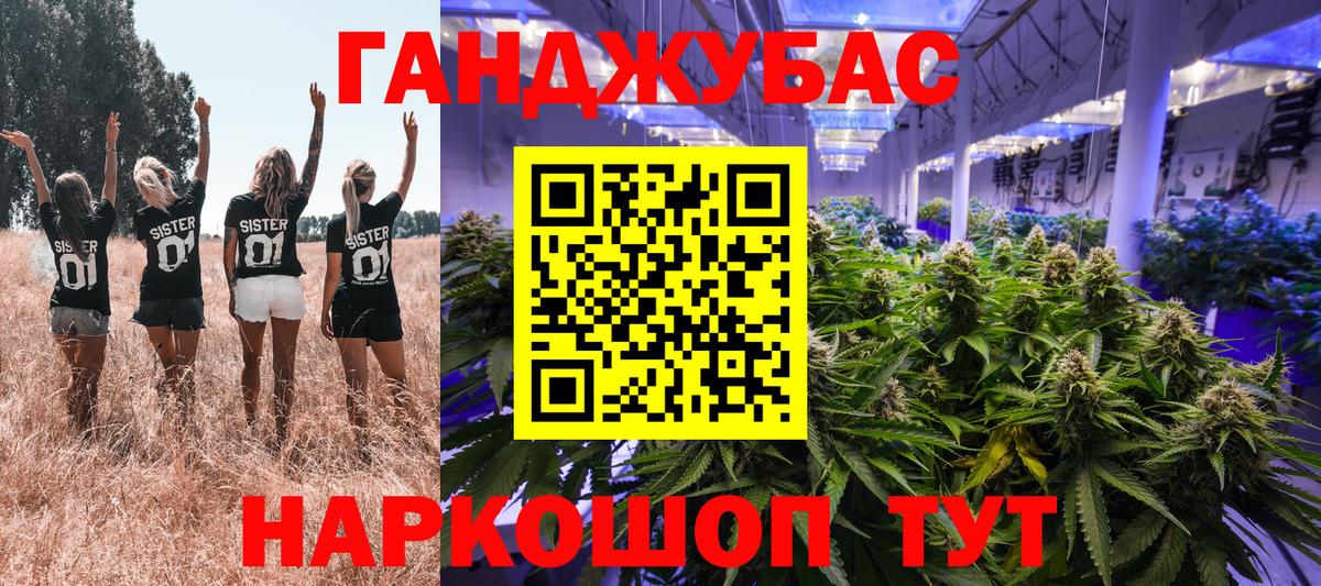 Марихуана сатива  Вход с VPN  Марихуана план  Шишки марихуана Ganja  Новозыбков 